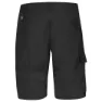Fjällräven Abisko Kurze Hose