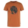 Terracotta brown