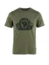 Olive 2