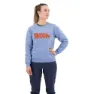 Dawn blue / terracotta brown