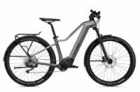 Flyer Goroc2 2.10 Cast Silver/Black Gloss 29" 750 Wh Diamant