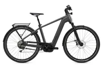 Flyer Gotour 7.10 Cold Anthracite Gloss 28" 750 Wh Diamant Flyer Gotour 7.10 Cold Anthracite Gloss 28" 750 Wh Diamant