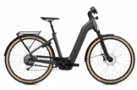 Flyer Gotour 7.12 CX - 750Wh 10K Wave Flyer Gotour 7.12 CX - 750Wh 10K Wave