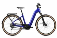 Flyer Gotour 7.12 CX - 750Wh 10K Wave Flyer Gotour 7.12 CX - 750Wh 10K Wave