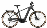 Flyer Gotour 7.12 XC - 750Wh 10K Diamant Flyer Gotour 7.12 XC - 750Wh 10K Diamant