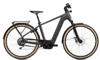 Flyer Gotour 7.12 XC ABS - 750Wh 10K Diamant Flyer Gotour 7.12 XC ABS - 750Wh 10K Diamant