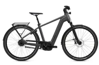 Flyer Gotour 7.23 Cold Anthracite Gloss 28" 750 Wh Diamant Flyer Gotour 7.23 Cold Anthracite Gloss 28" 750 Wh Diamant