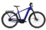Flyer Gotour 7.23 Enzian Blue Gloss 28" 750 Wh Diamant