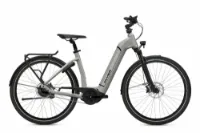 Flyer Gotour6 5.41R Cast Silver Gloss 28" 625 Wh Wave Flyer Gotour6 5.41R Cast Silver Gloss 28" 625 Wh Wave