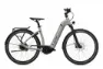 Flyer Gotour6 5.41R Cast Silver Gloss 28" 625 Wh Wave, Silber, XL