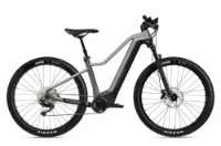 Flyer Uproc2 2.10 Cast Silver/Black Gloss 29" 750 Wh Diamant Flyer Uproc2 2.10 Cast Silver/Black Gloss 29" 750 Wh Diamant