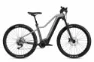 Flyer Uproc2 2.10 Cast Silver/Black Gloss 29" 750 Wh Diamant