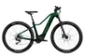 Flyer Uproc2 2.10 Moss Green Gloss 29" 750 Wh Diamant, Hersteller-moss green gloss, XL