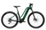 Flyer Uproc2 2.10 Moss Green Gloss 29" 750 Wh Wave, Grün, XL