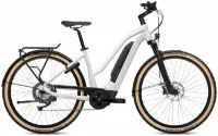 Flyer Upstreet5 3.12 - 630Wh 9K Trapez Flyer Upstreet5 3.12 - 630Wh 9K Trapez