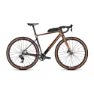Goldbrown glossy / carbon raw glossy