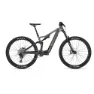 Moonstonegrey glossy / carbon raw glossy