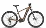 Focus JARIFA² 6.8 Gold Brown 29" 750 Wh Diamant
