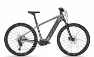Focus JARIFA² 6.8 Gold Brown 29" 750 Wh Diamant
