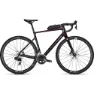 Darkviolet glossy / carbon raw glossy
