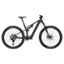 Carbon raw matt / glossy