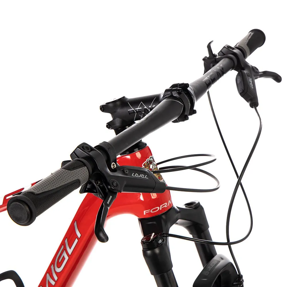 Formigli R1 Carbon 29´´ Mountainbike Formigli R1 Carbon 29´´ Mountainbike