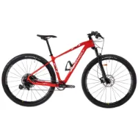 Formigli R1 Carbon 29´´ Mountainbike Formigli R1 Carbon 29´´ Mountainbike