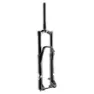 Formula Selva C Mtb-gabel
