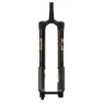 FOX 36 K Podium 29´´ F-s 170 Grip X2 Rk44 20x110 Mm 2026 Mtb-gabel, Black / gold, 29", 170mm