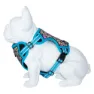 Freedog Boreal Hundegeschirr