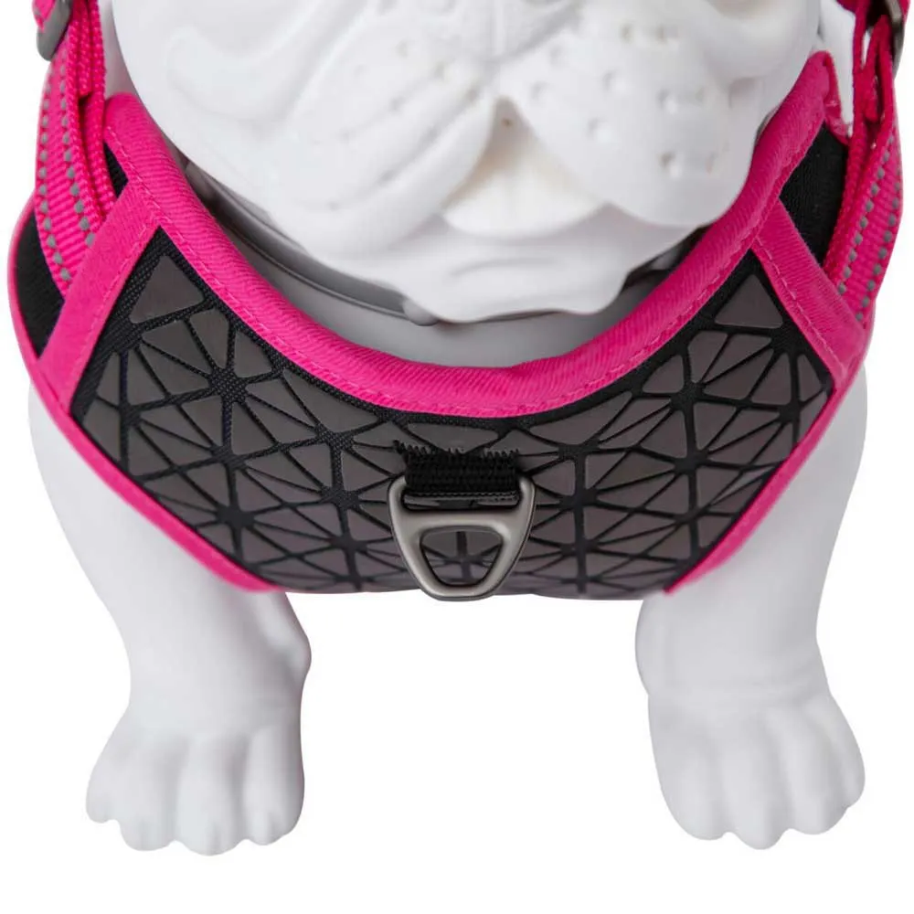 Freedog Boreal Hundegeschirr