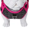 Freedog Boreal Hundegeschirr