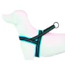 Freedog Soft Sport Hundegeschirr