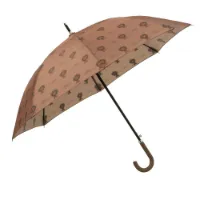 Fresk Lion Regenschirm Fresk Lion Regenschirm