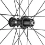 Fulcrum Sharq 42 2wf C25 Afs Disc Tubeless Rennrad-hinterrad, Black, 12 x 142mm, Shimano/Sram HG