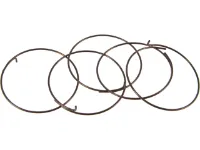 Fulcrum Sperrklinkenfedern 5-R1-015 für RR Freilaufkörper Fulcrum Sperrklinkenfedern 5-R1-015 für RR Freilaufkörper