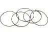 Fulcrum Sperrklinkenfedern 5-R1-015 für RR Freilaufkörper, One_size