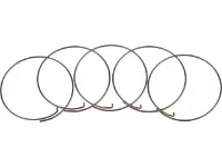 Fulcrum Sperrklinkenfedern 5-RM0-005 für MTB Freilaufkörper Fulcrum Sperrklinkenfedern 5-RM0-005 für MTB Freilaufkörper