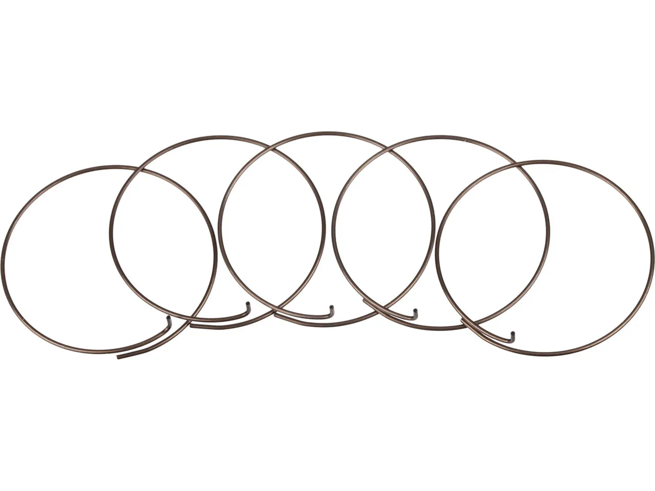 Fulcrum Sperrklinkenfedern 5-RM0-005 für MTB Freilaufkörper, One_size Fulcrum Sperrklinkenfedern 5-RM0-005 für MTB Freilaufkörper, One_size