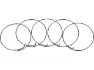 Fulcrum Sperrklinkenfedern 5-RM0-005 für MTB Freilaufkörper, One_size