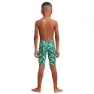 Funky Trunks Ft37t71541 Jammer
