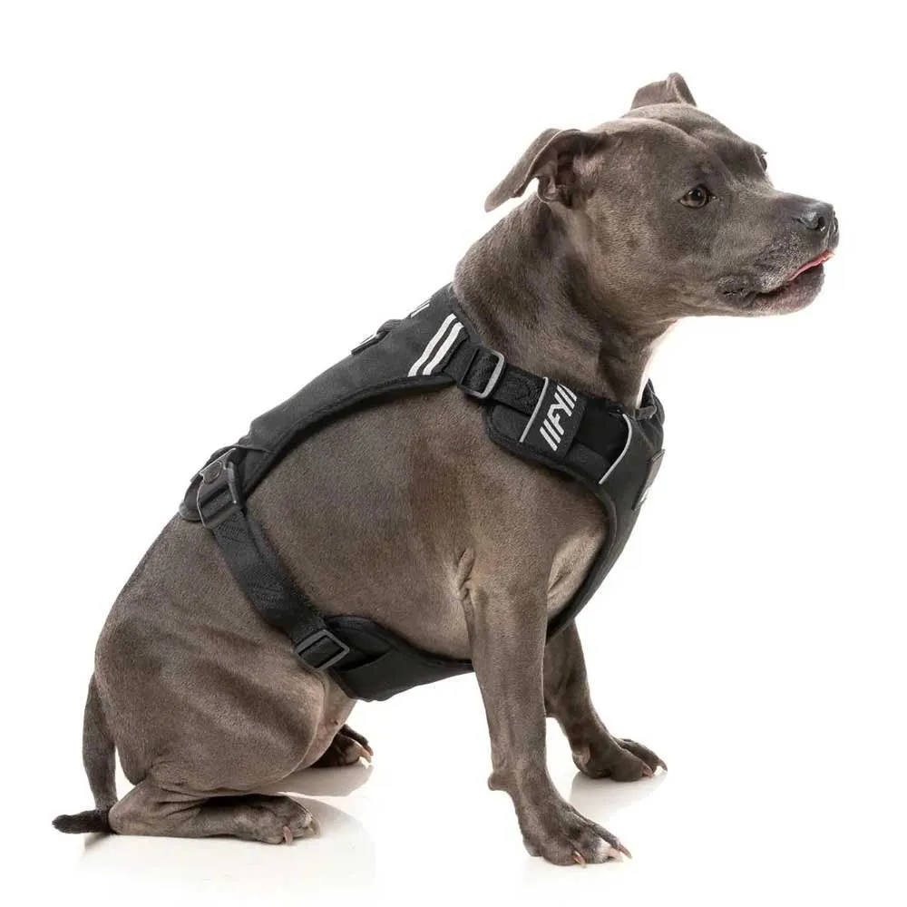 Fuzzyard Active Go Hundegeschirr Fuzzyard Active Go Hundegeschirr