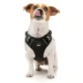 Fuzzyard Active Go Hundegeschirr