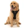 Fuzzyard Active Go Hundegeschirr