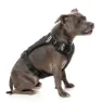 Fuzzyard Active Go Hundegeschirr