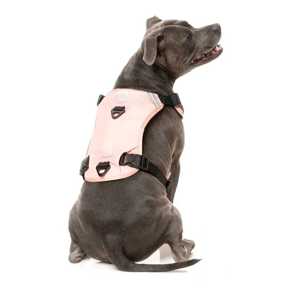 Fuzzyard Active Go Hundegeschirr