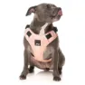 Fuzzyard Active Go Hundegeschirr