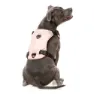 Fuzzyard Active Go Hundegeschirr
