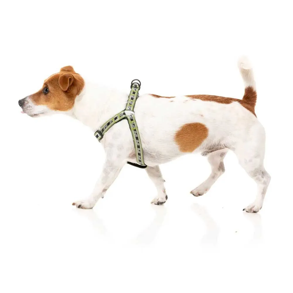 Fuzzyard Active Strap Hundegeschirr