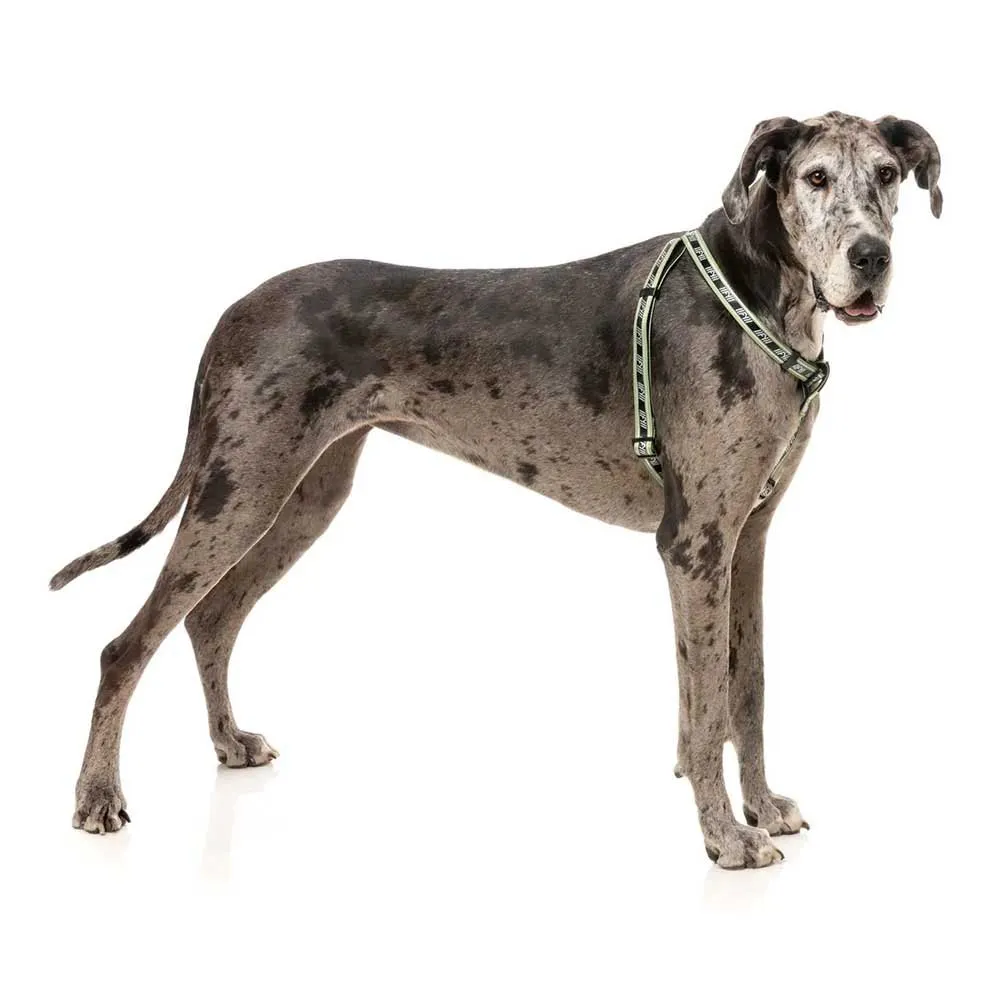 Fuzzyard Active Strap Hundegeschirr